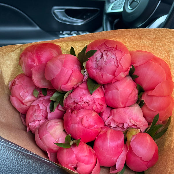 Ramo Peonias Coral 10 varas