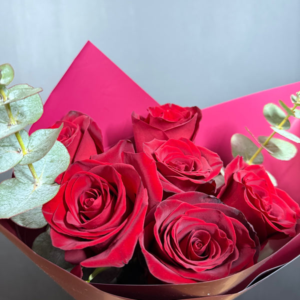 6 Rosas Ecuatorianas Deluxe