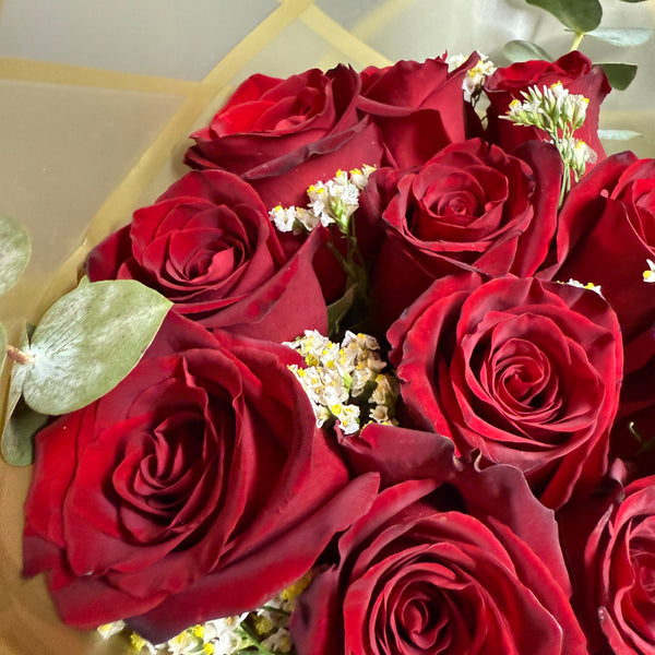 12 Rosas Ecuatorianas Deluxe