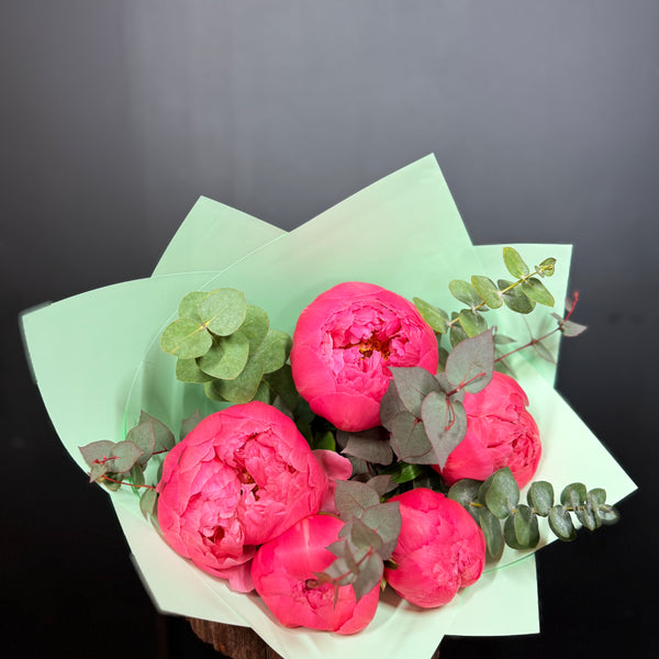 Ramo Peonias Coral 5 varas